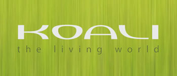 Koali Eyewear