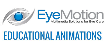 EyeMotion Animations