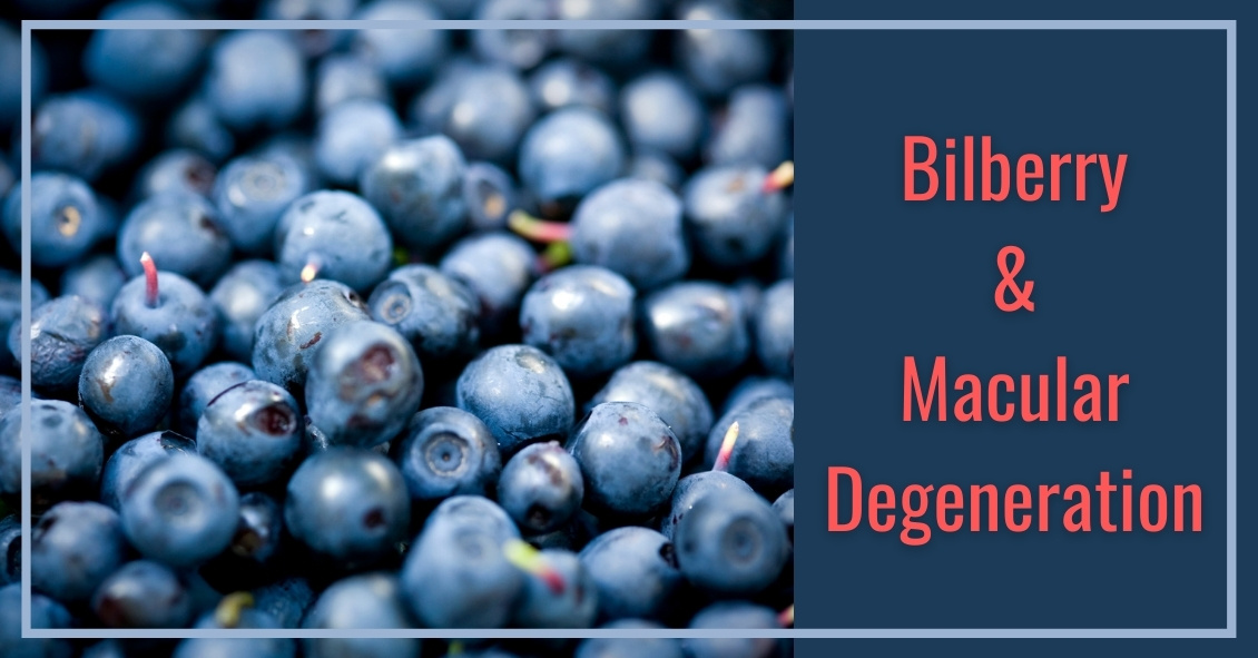 Bilberry & Macular Degeneration