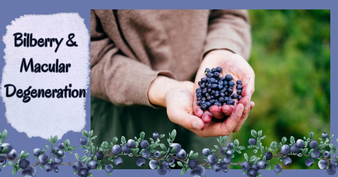 Bilberry and Macular Degeneration