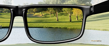 Polarized Sunglasses