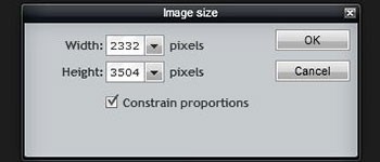 Resizing an Image